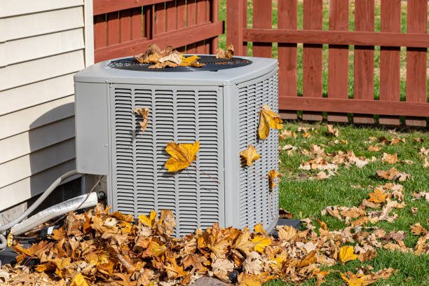 Best HVAC tune-up services  in Kenmore, WA